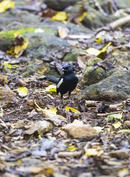 Views from the Seychelles Stock Photos
