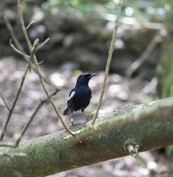 Views from the Seychelles Stock Photos