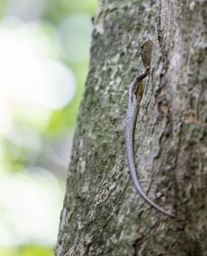 Views from the Seychelles Stock Photos