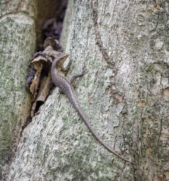 Views from the Seychelles Stock Photos
