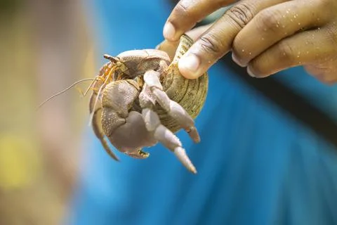 Views from the Seychelles Stock Photos