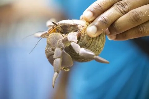 Views from the Seychelles 스톡 사진