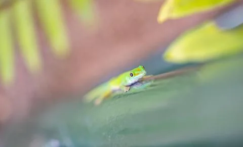 Views from the Seychelles Stock Photos