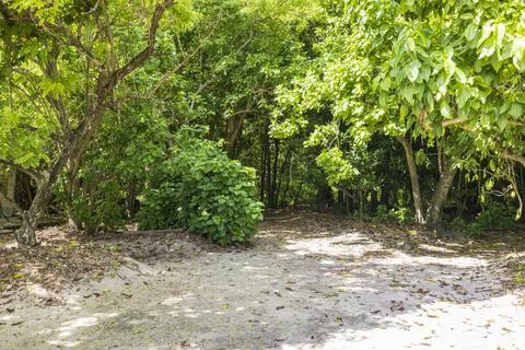 Views from the Seychelles Stock Photos