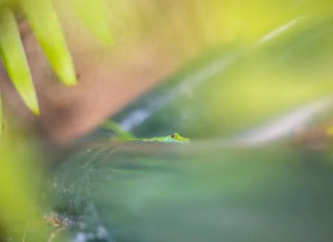 Views from the Seychelles Stock Photos