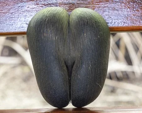 Views from the Seychelles Stock Photos