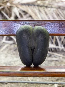 Views from the Seychelles 스톡 사진