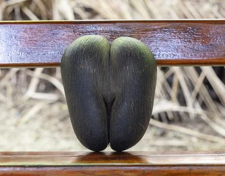 Views from the Seychelles Stock Photos