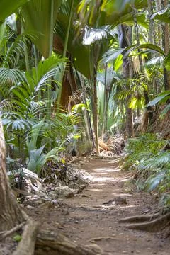 Views from the Seychelles Stock Photos