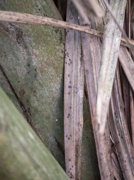 Views from the Seychelles Stock Photos