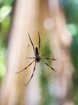 Views from the Seychelles 스톡 사진