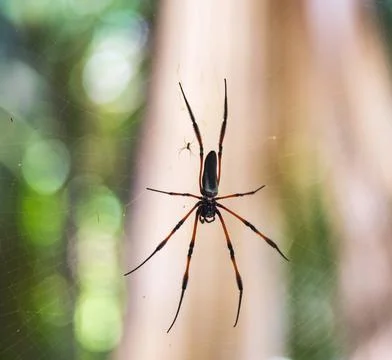 Views from the Seychelles 스톡 사진