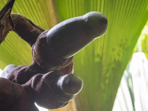 Views from the Seychelles Foto stock