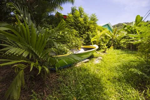 Views from the Seychelles Fotos de archivo