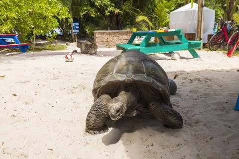 Views from the Seychelles 스톡 사진