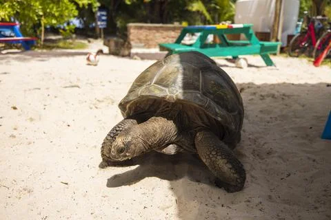 Views from the Seychelles Foto stock
