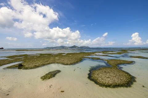 Views from the Seychelles Fotos de archivo
