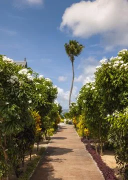 Views from the Seychelles Stock Photos