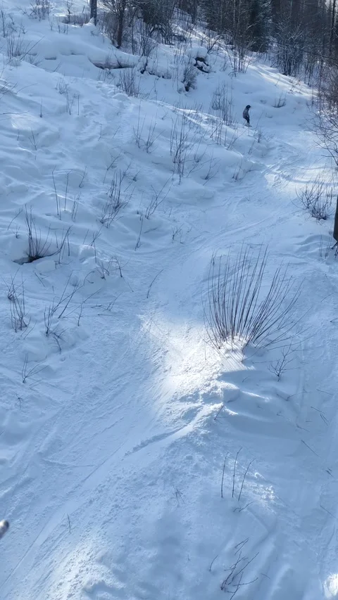 Views of the ski resort Teletski. Stock Footage 268008972