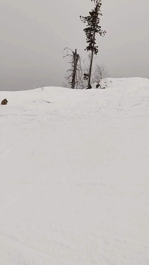 Views of the ski resort Teletski. Stock Footage 268010248