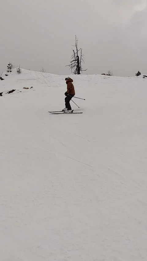 Views of the ski resort Teletski. Stock Footage 268010285