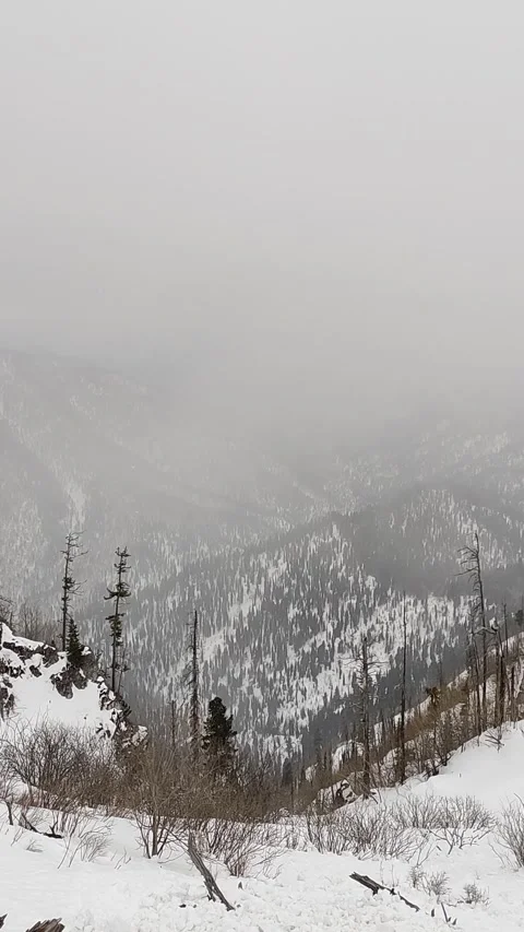 Views of the ski resort Teletski. Stock Footage 268010305