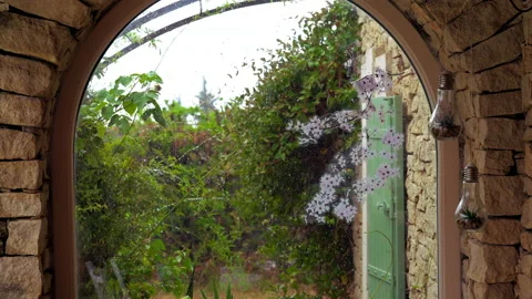 Views of a small garden Stock Footage 170003652