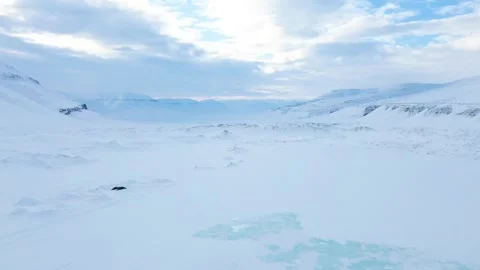 Views of the Svalbard archipelago, Arctic Stock Footage 324680599