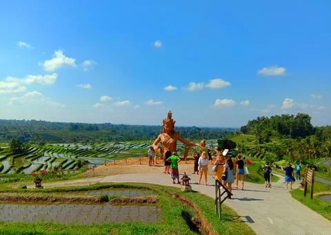 Views of terraced rice fields Stock Photos