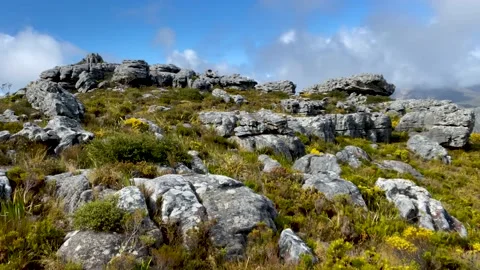 Views from the top of Table Mountain on a summery hike 스톡 동영상 168832973