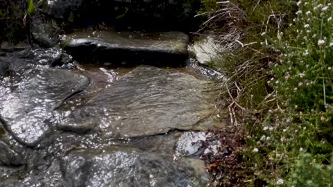 Views from the top of Table Mountain on a summery hike 스톡 동영상 168833656
