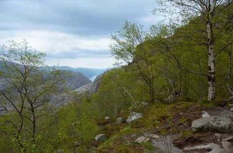 Views on the trail Stock Photos