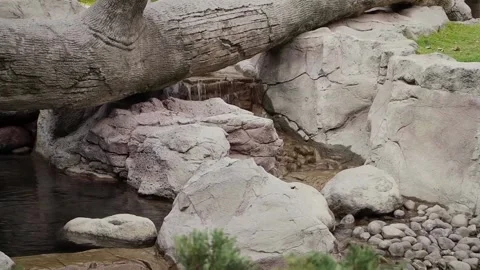 Views of tributaries Stock Footage 234729163