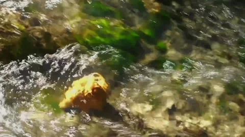 Views of tributaries Stock Footage 234729882