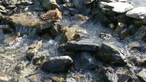 Views of tributaries Stock Footage 234729885