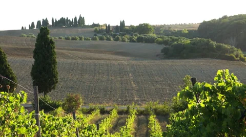 Views of a Tuscan Vineyard (2 of 11) Stock Footage 32136693