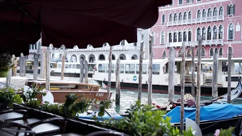 Views in Venice. Landscape Stock Footage 238739073