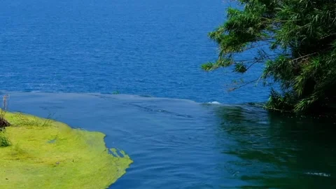 Views of the waterfall Stock Footage 233513063