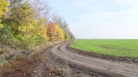 Views of woods and fields. Autumn. 스톡 동영상 68207604