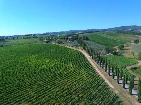 Vigneto Drone Chianti Stock Photos