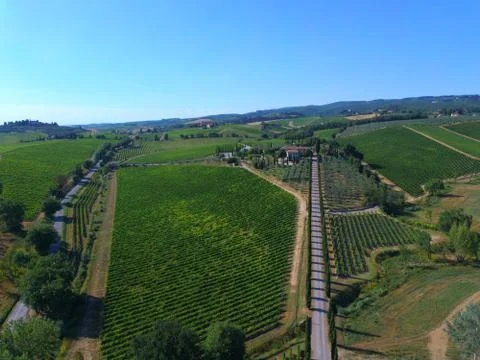 Vigneto Drone Chianti Stock Photos