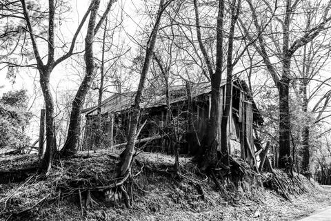 Vignette filter effect over a spooky distressed house barn in the forest Stock Photos