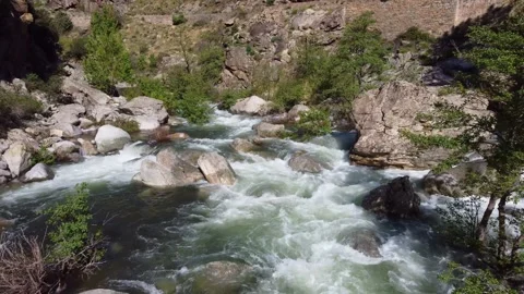 Vigorous and pristine river in Corsica Stock Footage 253542498