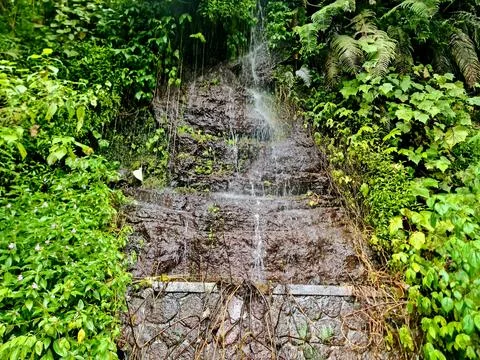 ​Vigorous Mountain Spring Water Flowing Over Dark Rocky Cliff Among Vibrant Stock-Fotos