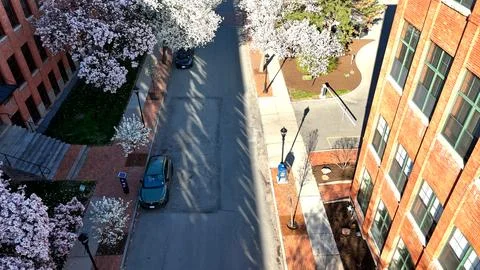Vigorously in Bloom - Syracuse, NY Stockfoto's