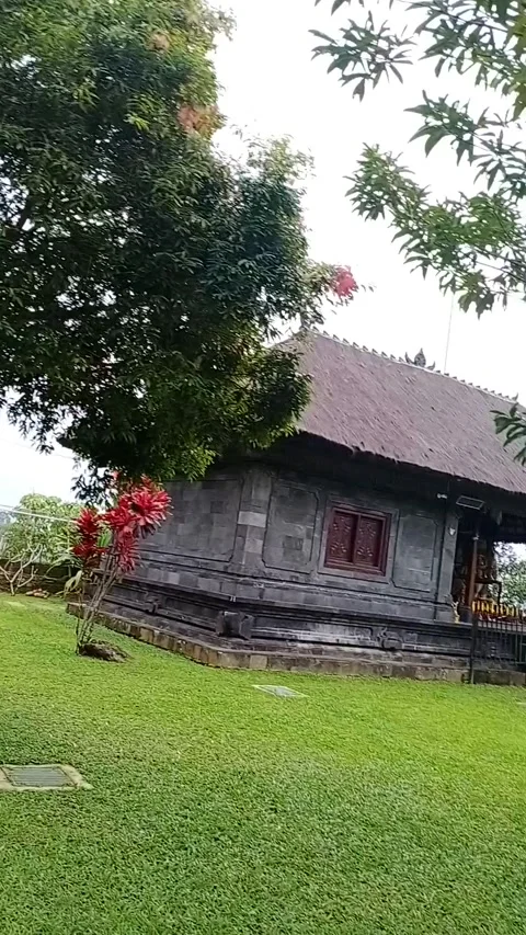 Vihara 動画素材 205252564
