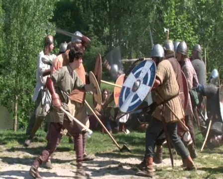 Viking combat Stockbeeldmateriaal 681954