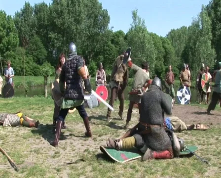Viking combat Stockbeeldmateriaal 681993