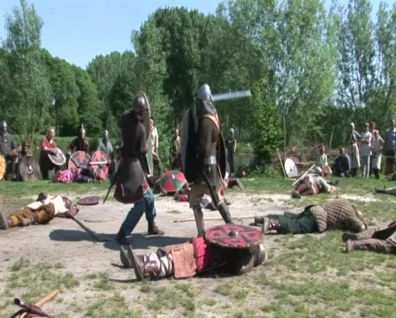 Viking combat Stockbeeldmateriaal 682007