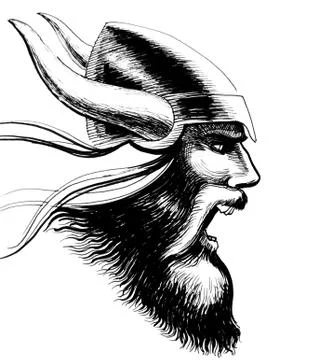 Viking head Illustrazione stock